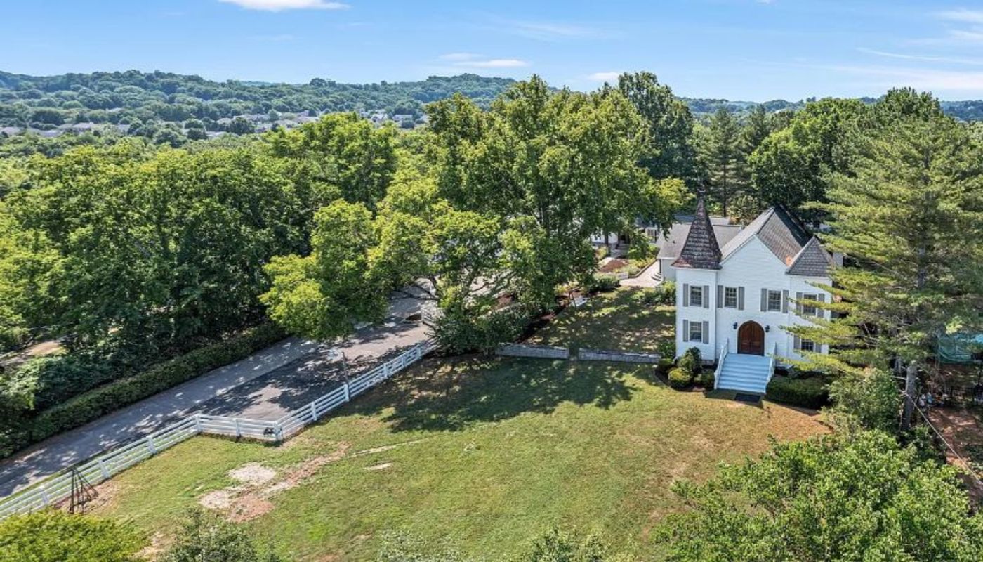 Aster Springs Tennessee