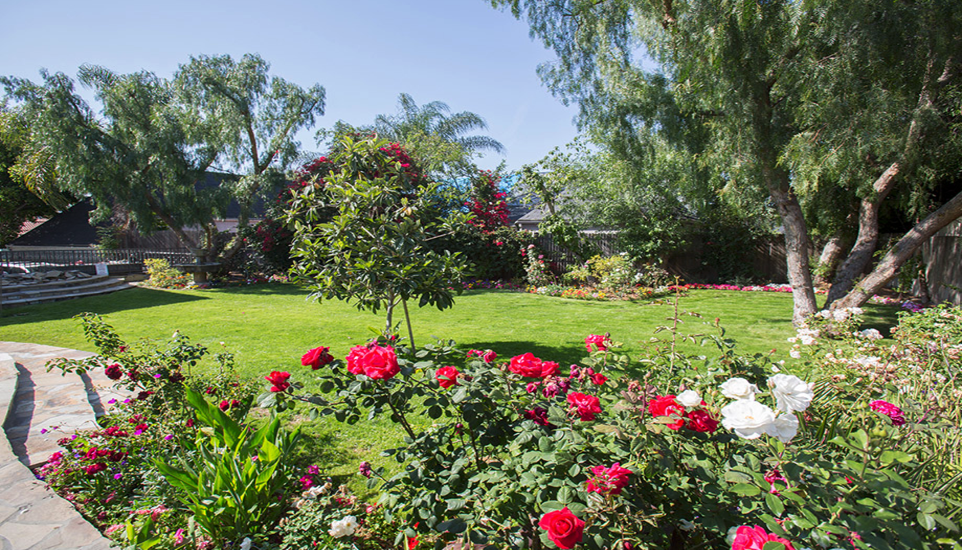 Chabad Treatment Center