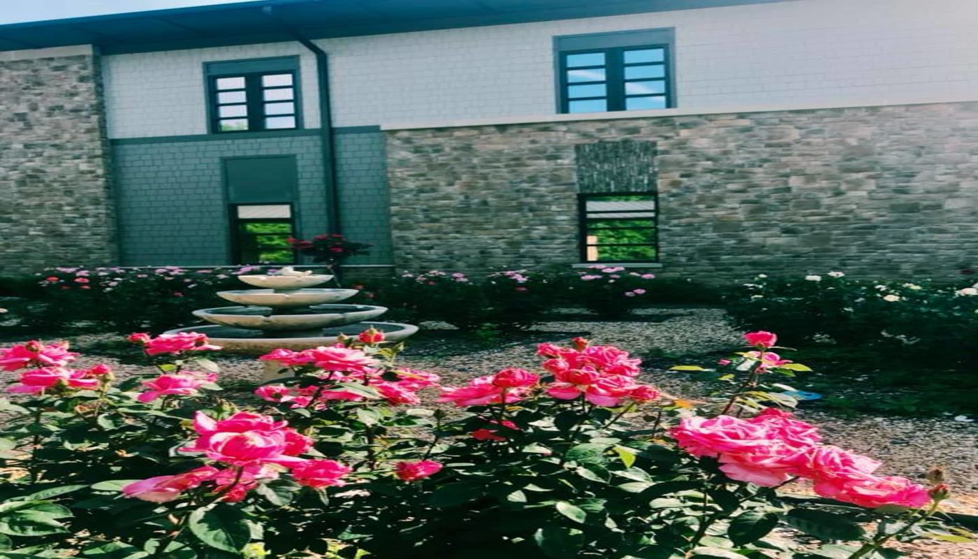 Charlotte Rescue Mission - Dove's Nest