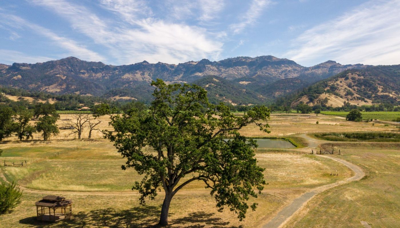 Duffy's Napa Valley Rehab