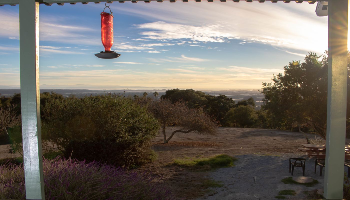 Elevate Addiction Services - Placerville