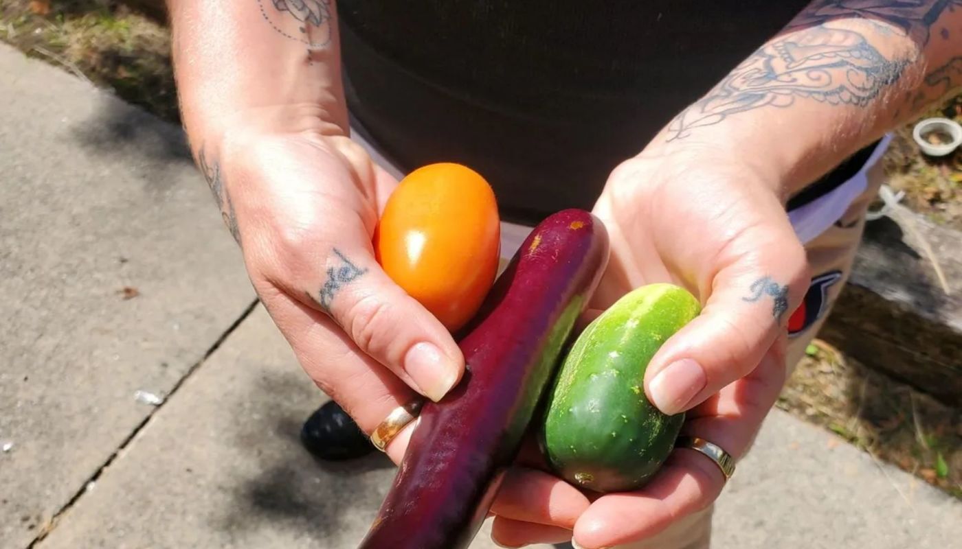 Elmhurst Naomi's Nest