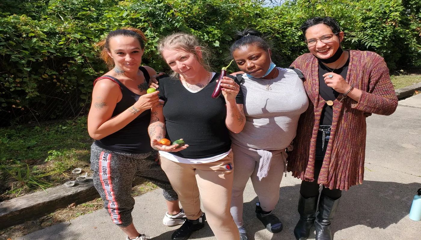 Elmhurst Naomi's Nest