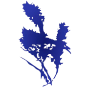 Fair Park Counseling