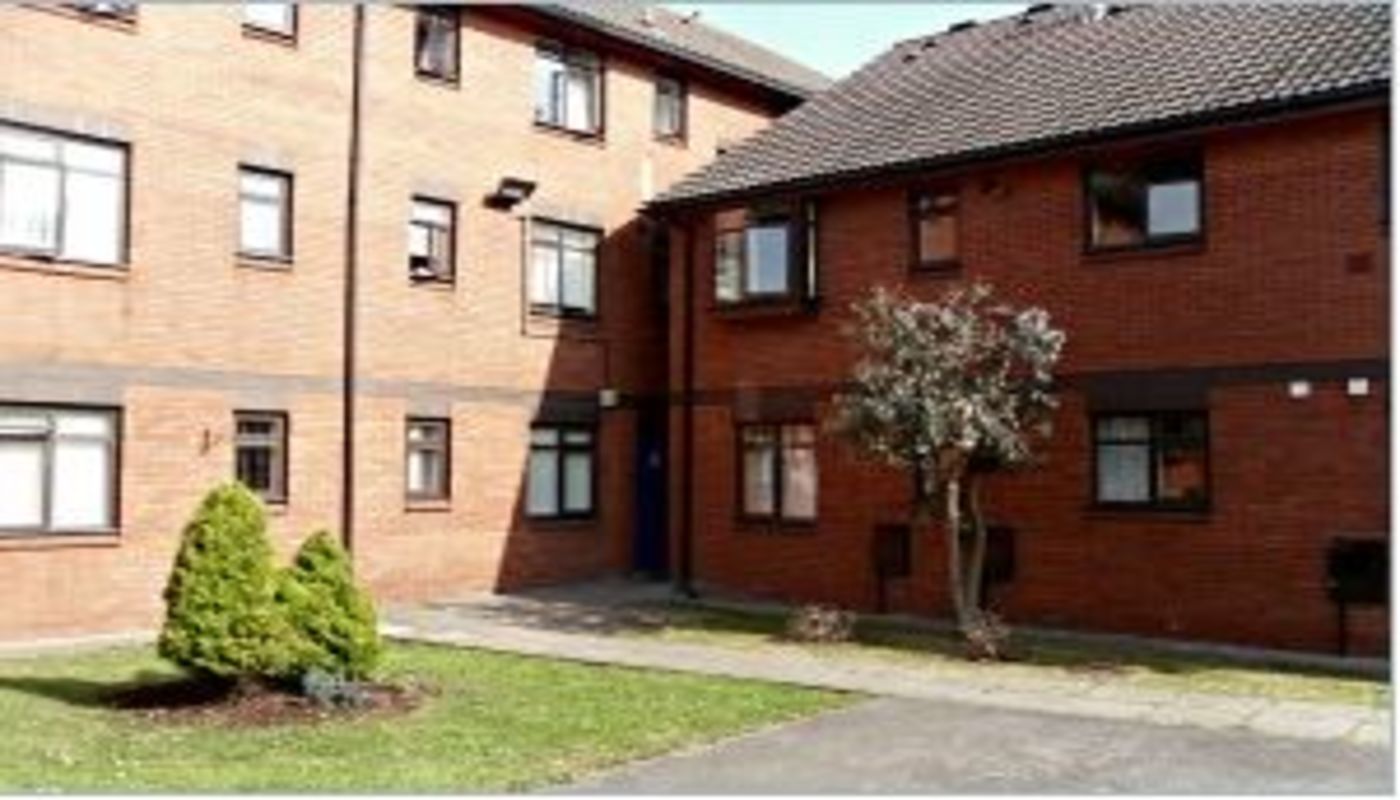 Forward Trust - The Bridges