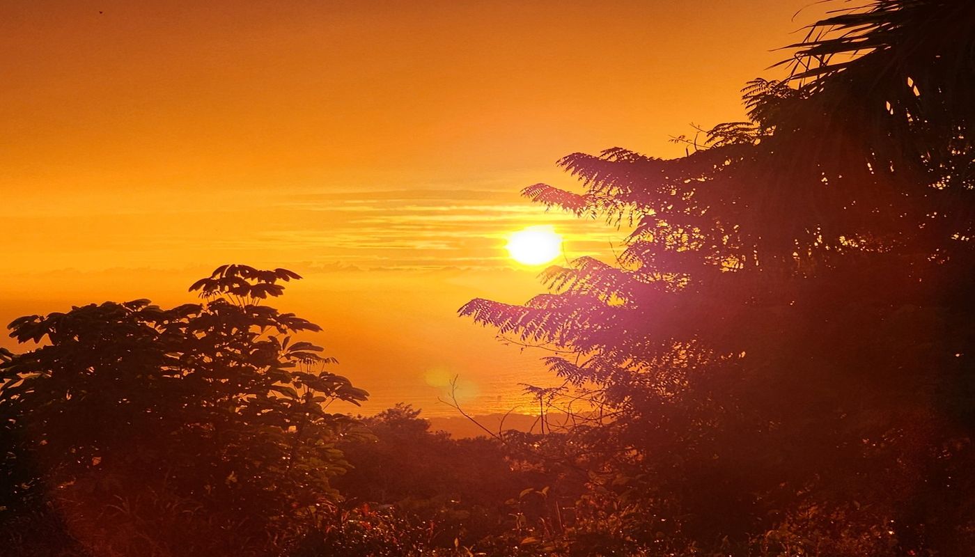 Hawaii Island Recovery