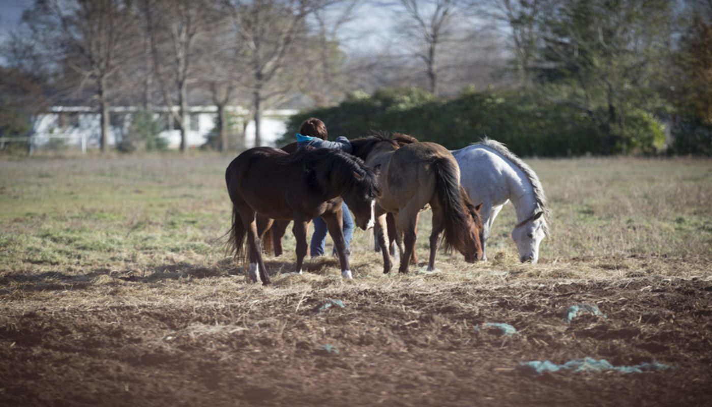 Heartland Girls Ranch