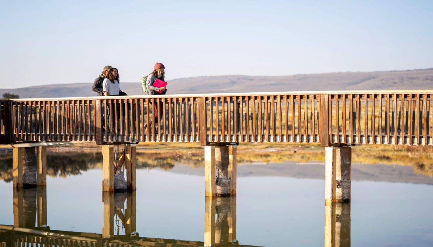 Juniper Canyon Recovery
