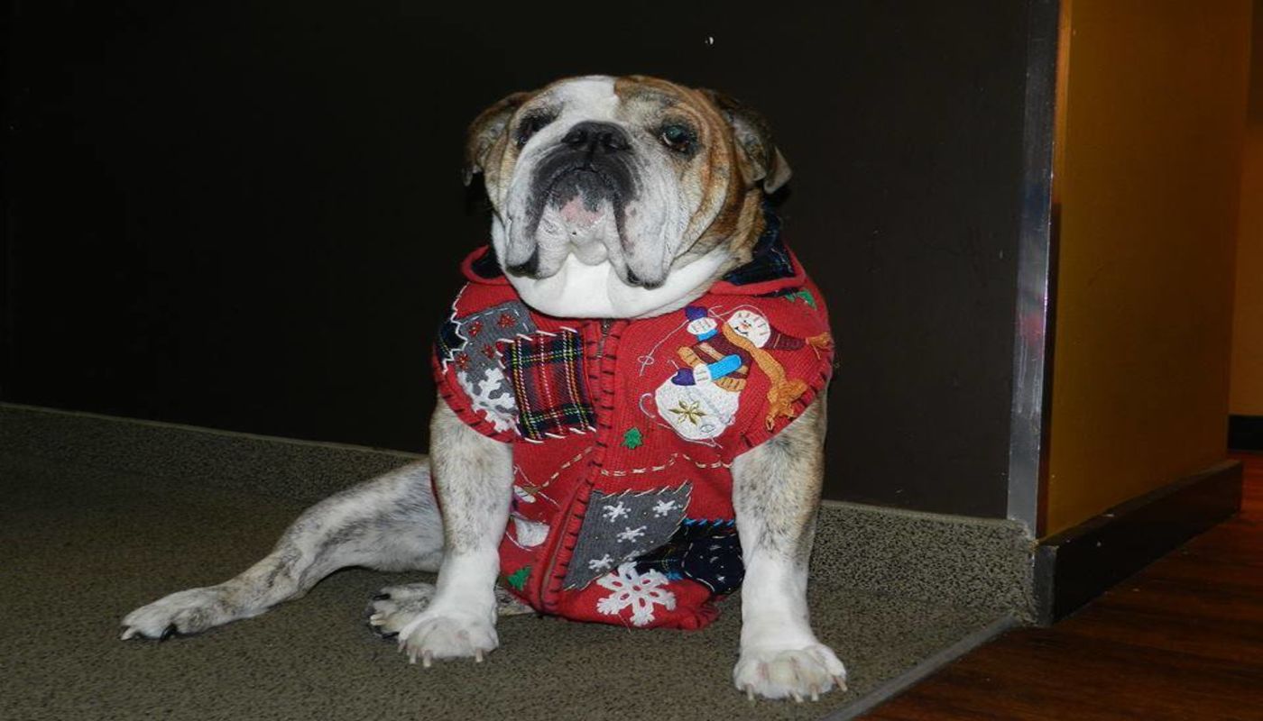 Last Door Recovery Centre