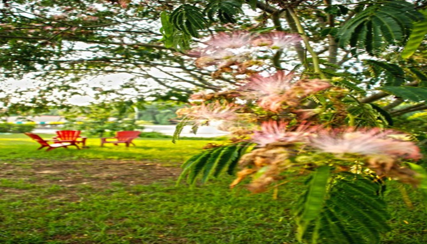 Owl's Nest Recovery Community