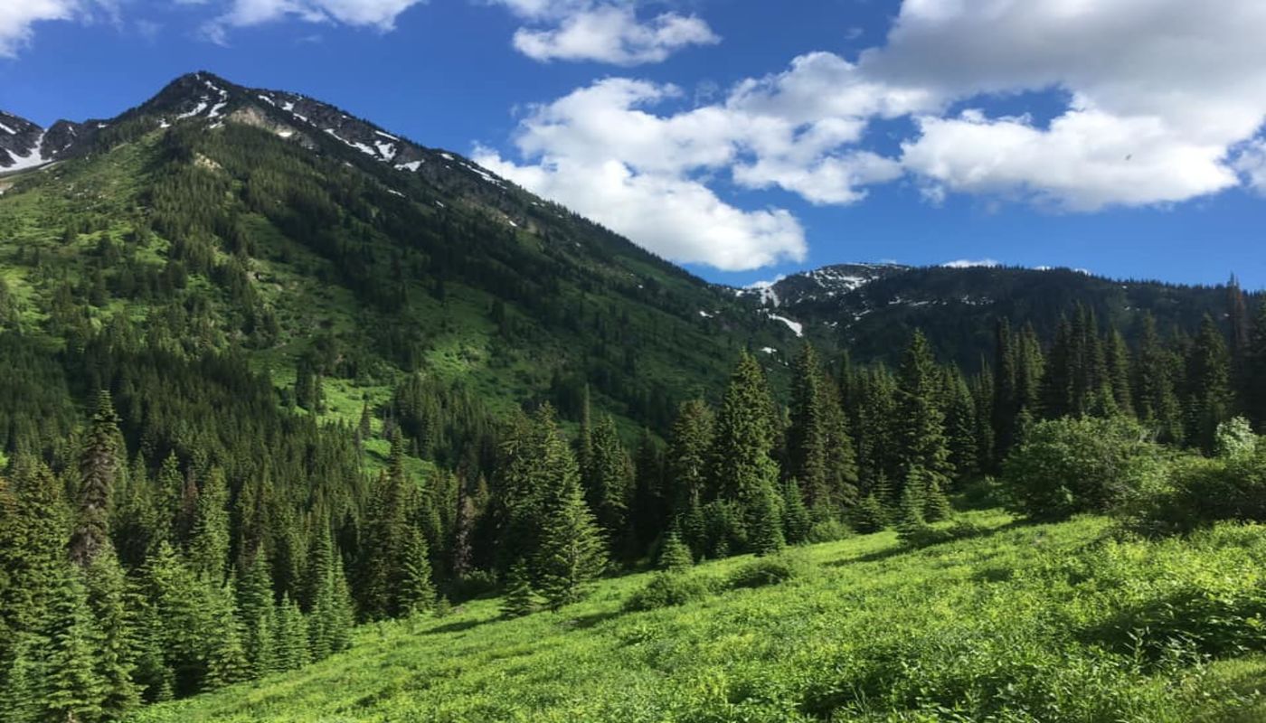 Petty Creek Mountain Ranch