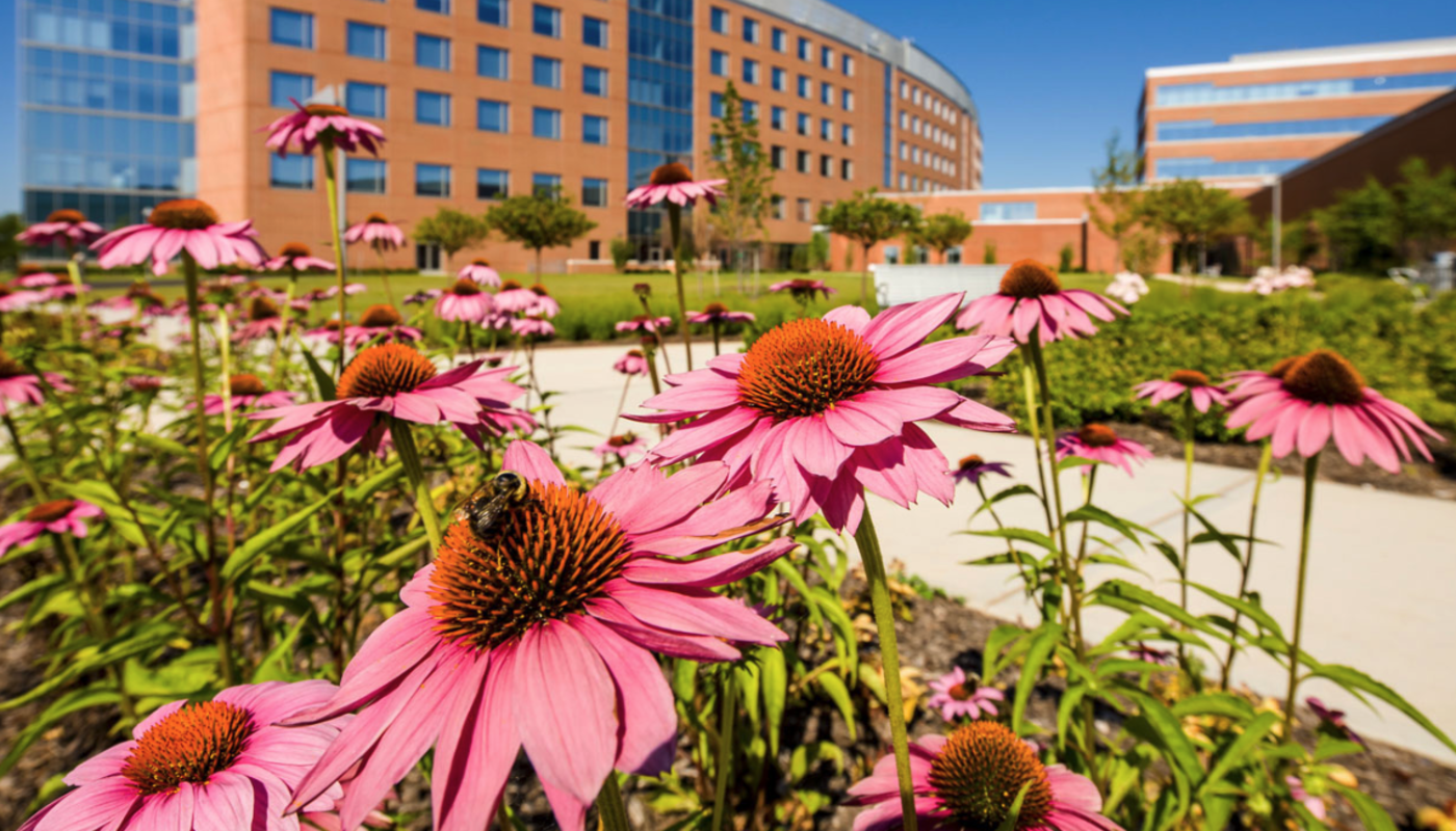 Princeton Center for Eating Disorders