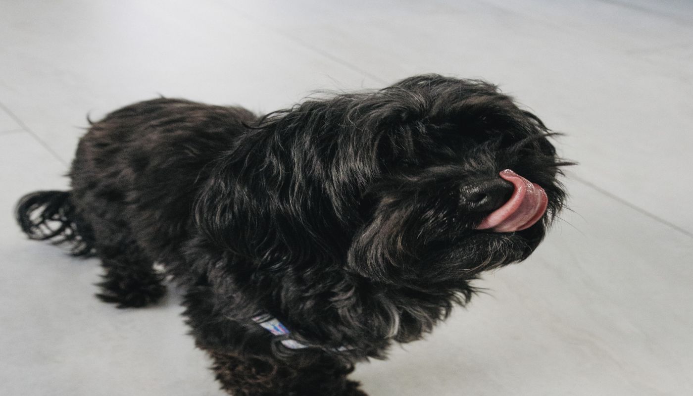 Recovery Unplugged - Mental Health