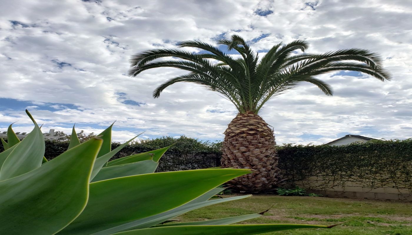 The Road to Recovery Treatment Services