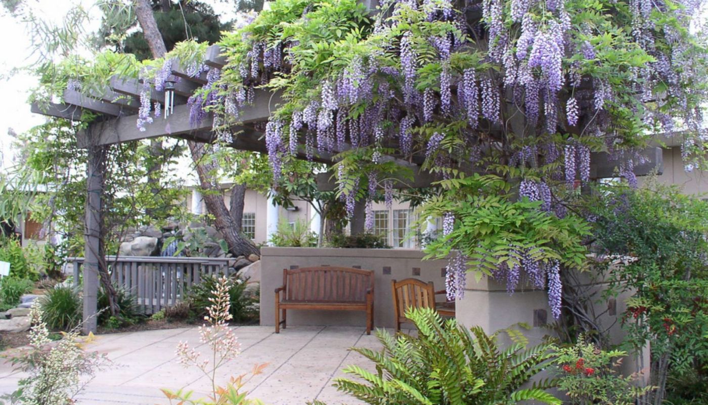 Sharp Mesa Vista Hospital Behavioral Health Services