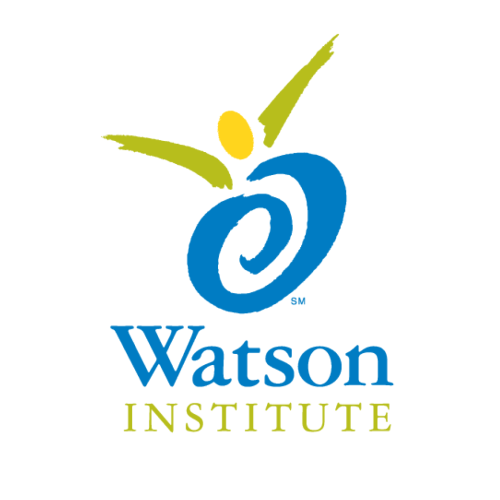 The Watson Institute Wexford