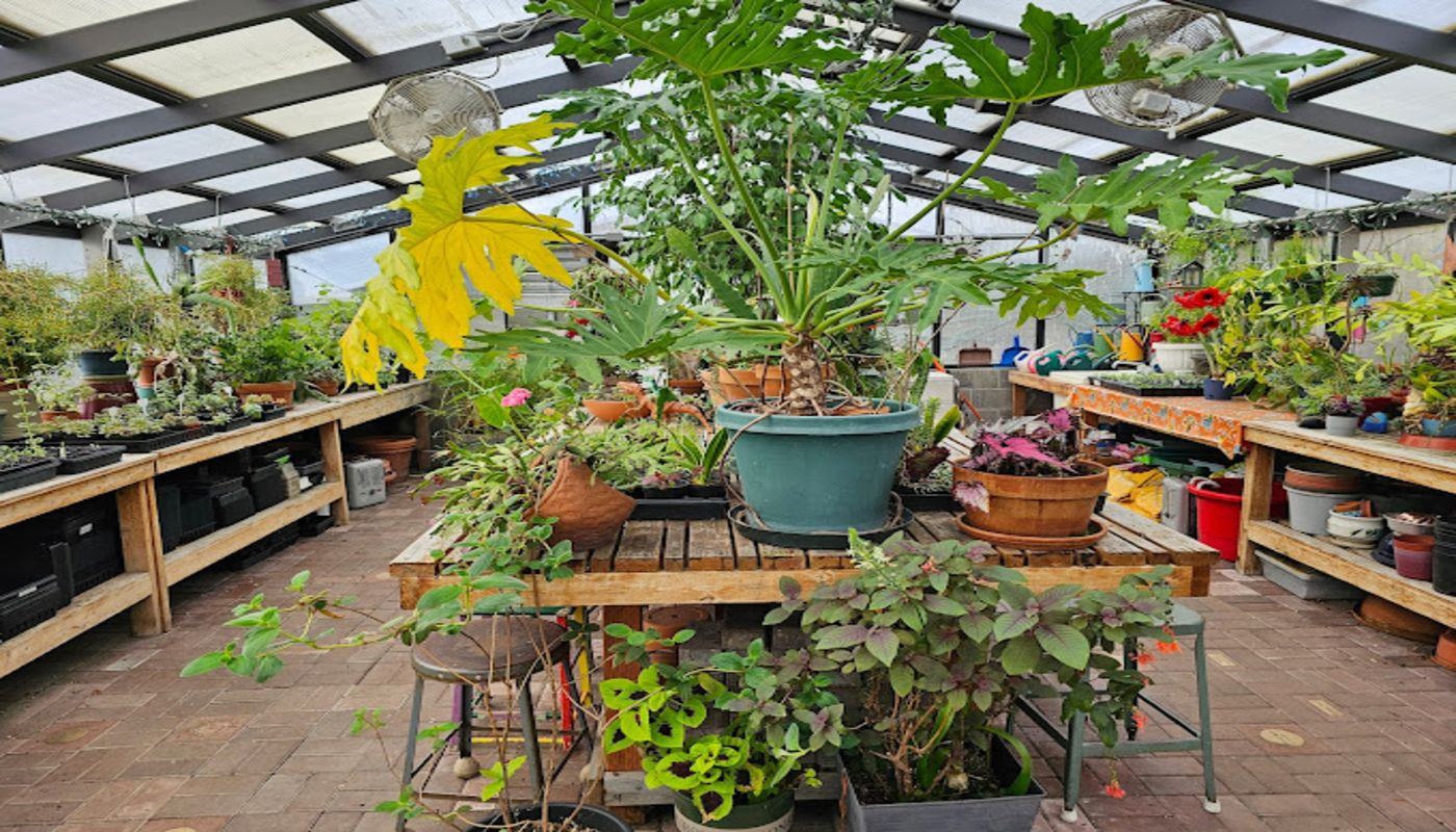 Trillium Family Portland