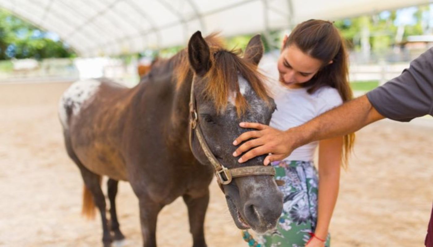 Wellness Resource Center