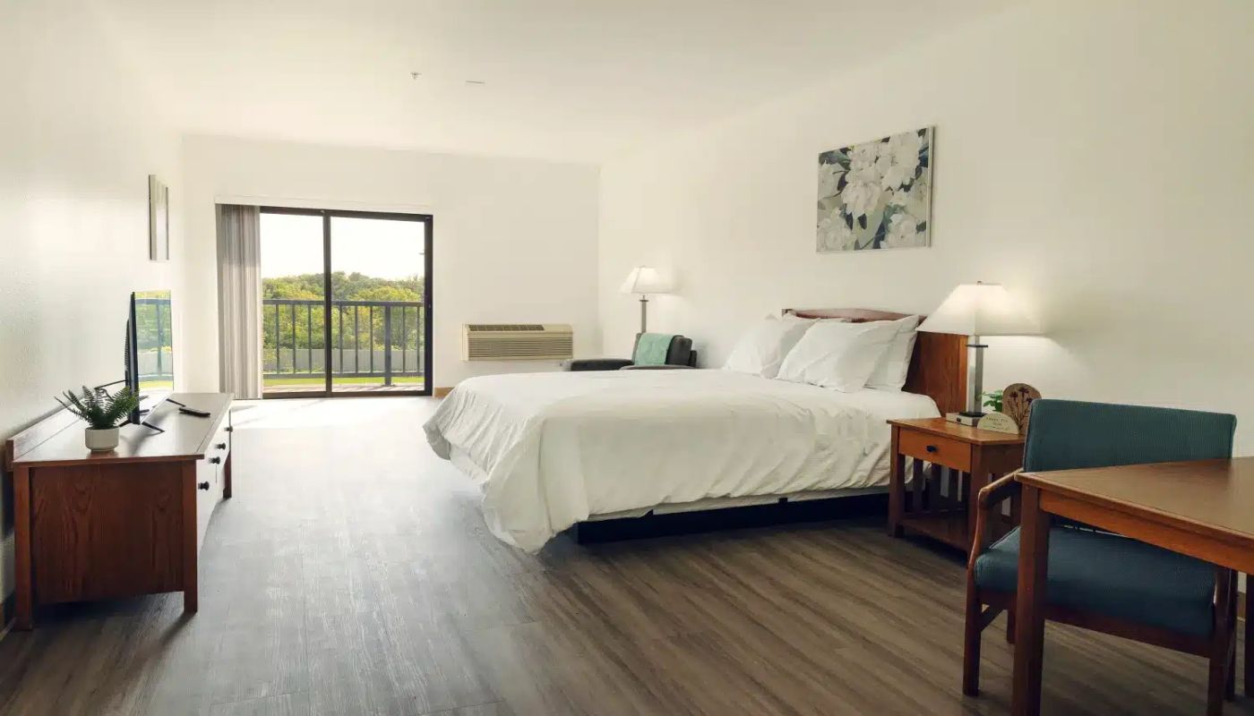 Wood Violet Recovery